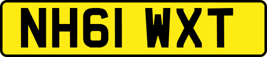 NH61WXT