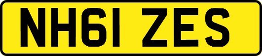 NH61ZES