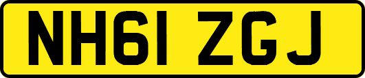 NH61ZGJ