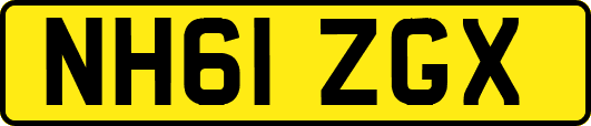 NH61ZGX