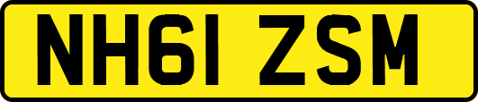 NH61ZSM