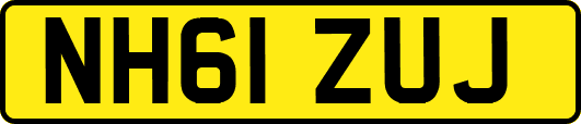 NH61ZUJ
