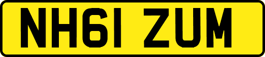 NH61ZUM