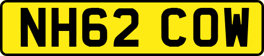 NH62COW