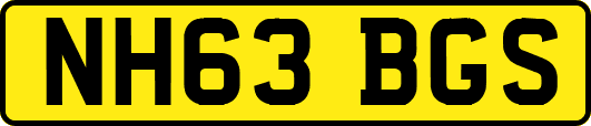 NH63BGS