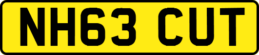 NH63CUT