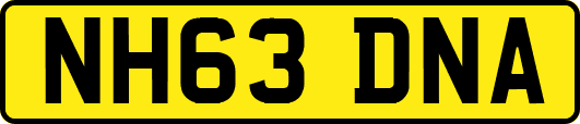NH63DNA