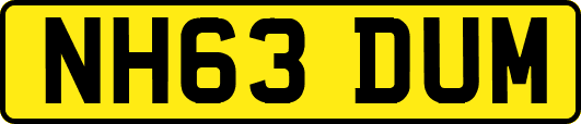 NH63DUM