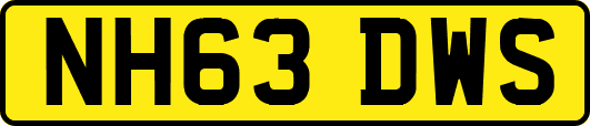 NH63DWS