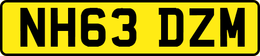 NH63DZM