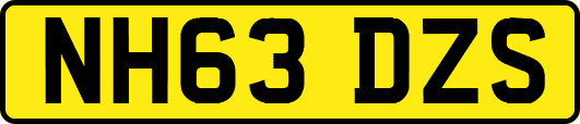 NH63DZS
