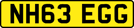 NH63EGG