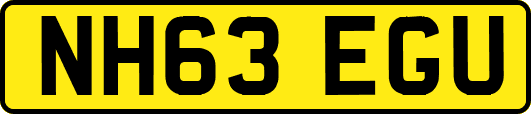 NH63EGU