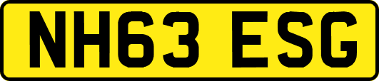 NH63ESG