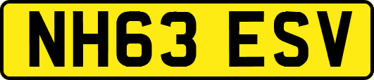 NH63ESV