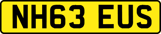 NH63EUS