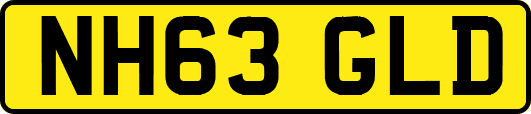 NH63GLD