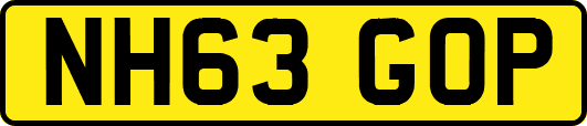 NH63GOP