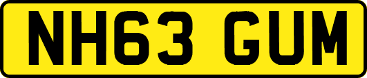 NH63GUM