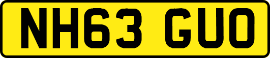 NH63GUO