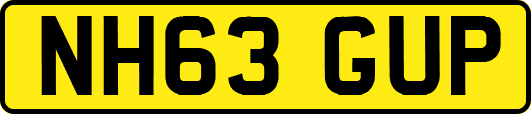 NH63GUP