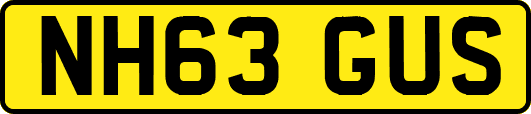 NH63GUS