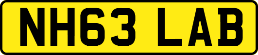 NH63LAB