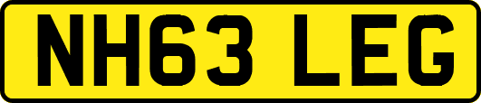 NH63LEG