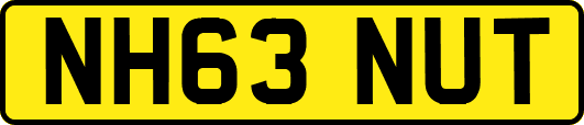 NH63NUT