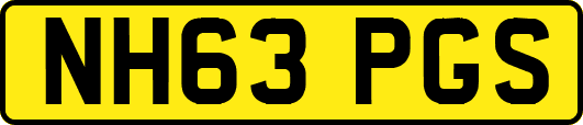 NH63PGS