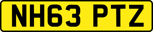 NH63PTZ