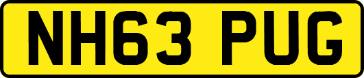 NH63PUG