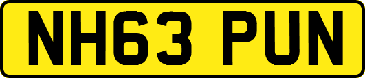 NH63PUN