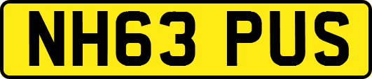 NH63PUS
