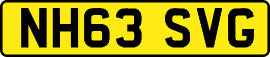 NH63SVG