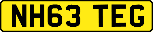 NH63TEG