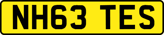 NH63TES