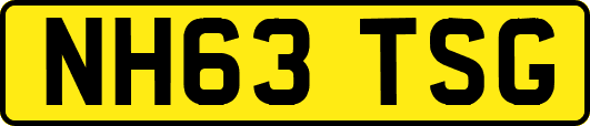 NH63TSG