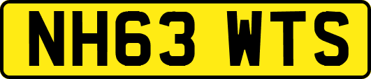 NH63WTS