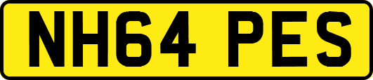 NH64PES
