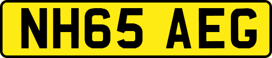 NH65AEG