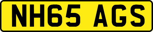 NH65AGS