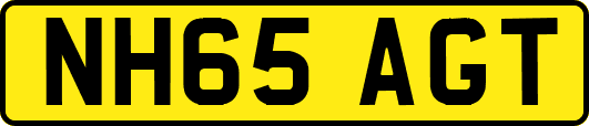 NH65AGT