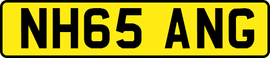 NH65ANG