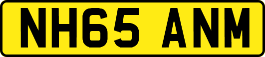 NH65ANM