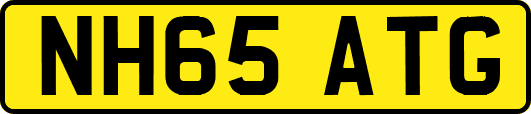 NH65ATG