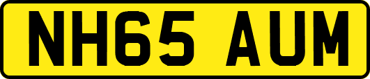 NH65AUM
