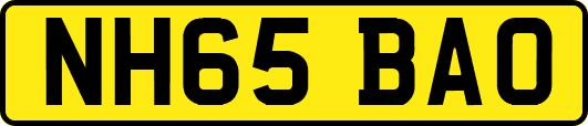 NH65BAO