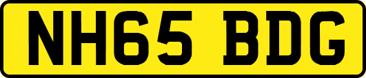 NH65BDG