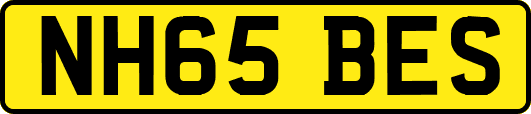 NH65BES